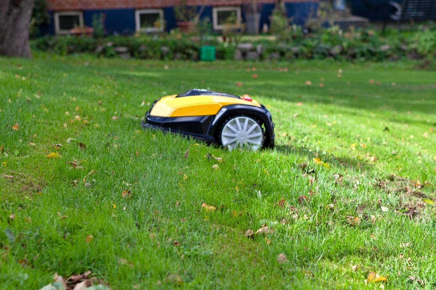 Ikke alle robotter er glade for bakker. Ikke alle robotter er glade for bakker.